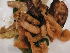 -碧中海汤泉汗蒸酒店