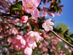 -长兴太湖图影湿地文化园