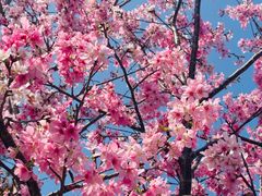 -梅州天地人花园酒店(梅县人民广场店)