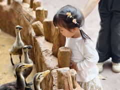 -长鹿旅游休博园