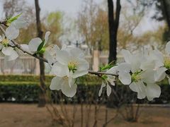 -国家图书馆·古籍馆