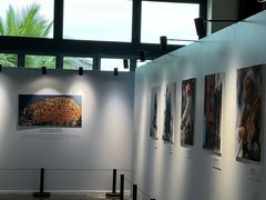 -日落吧·海景咖啡厅·餐酒吧·鸡尾酒·下午茶·乐队表演·浪漫夕阳·三亚文华东方酒店