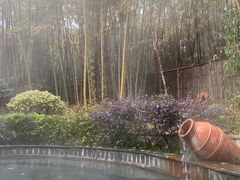 -洪湖悦兮半岛国际温泉度假村