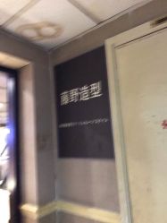 -藤野造型