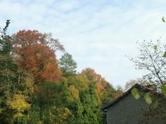 android_upload_pic-杭州天目山静雅居农家乐