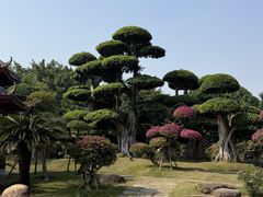 -南宁南湖公园