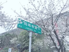 -鸡鸣赐茶(鸡鸣寺路店)