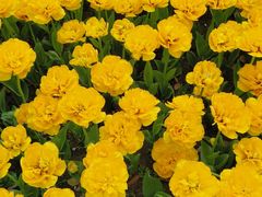 -玄武湖景区-情侣园游乐场