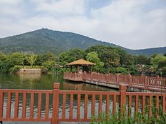 -无锡动物园·太湖欢乐园