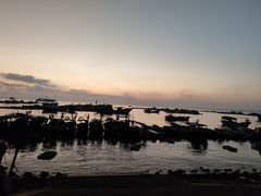 -硇洲岛旅游区