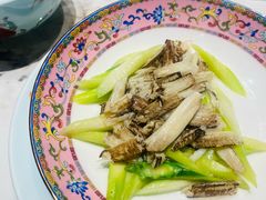 -新光酒家·河豚·海鲜·蟹料理(浦东店)