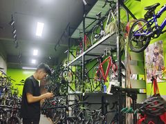 -道路口单车爱瓦士dahon大行