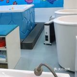 天热了，最好的运动就是游泳