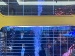 -頂好酒家·经典粤菜(海信广场店)