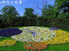 -花钟