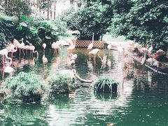 -九龙公园
