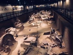 景点-洛阳古墓博物馆