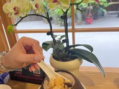 -佛有缘素食馆·荔湾老字号(陈家祠首店)
