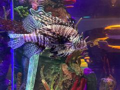 -沈阳海洋探索中心