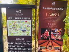 -崇阳三特浪口温泉