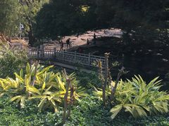 -晓港公园