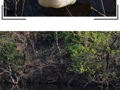 -青岛森林野生动物世界
