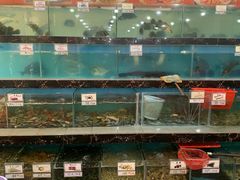 水产区-源海渔村·现捞海鲜(大角湾店)