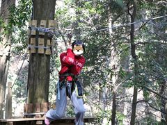 -衢州大荫山丛林飞越探险乐园