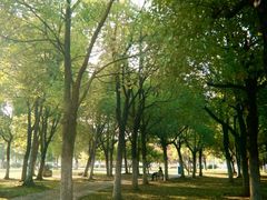 -天鹅湖体育公园