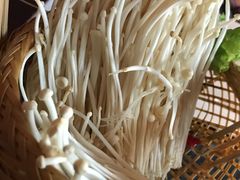 -老牌坊云南鱼豆花火锅(嵩山店)