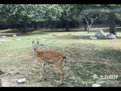 -西安秦岭野生动物园