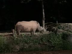 -清迈夜间动物园