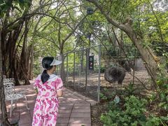 -厦门悦华酒店