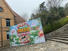 -大塘金香草谷