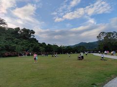 -大屏嶂森林公园