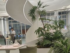 -大树餐厅(万达创始店)