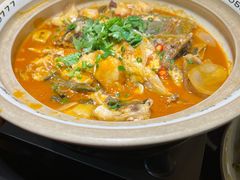 千岛湖有机胖头鱼-魏铭鱼头捞饭(晋阳路店)