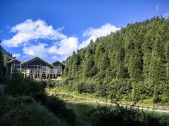 -武陵山森林公园
