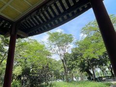 -顺峰山公园