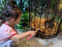 -酷嗒动物文化乐园(cutezoo西溪乐天城店)