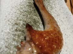 -人间酒暖·Go blanc·烧鸟·深夜食堂(陆家嘴店)