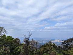 -黄埔油麻山森林公园