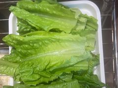 -九府羊鲜羊火锅·烧烤(任丘东风美食街店)