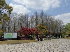-苏州太湖国家湿地公园