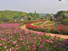 -龙寺生态园