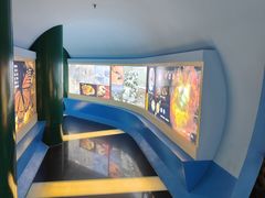 -上海昆虫博物馆