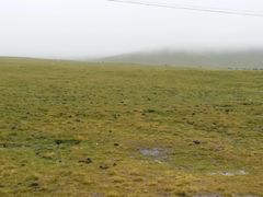 -扁都口生态休闲旅游区