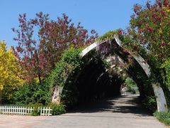 -天津东丽湖风景区