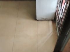 -华林禅寺