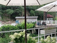 -Local泰莲庭(虹鳟鱼店)